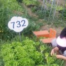 대원농장 이미지