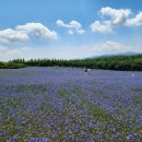 (주)수레 이미지