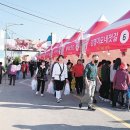 국화꽃부터 젓갈까지… 충청지역, 곳곳 다양한 축제로 활기! 이미지