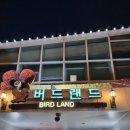 오월드2 | 오월드 너무 솔직해져버린 후기 2 - 버드랜드&amp;주랜드