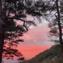 숲의하루 이미지