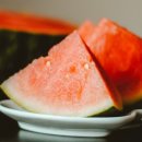 동동하우스 이미지