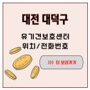 대전야생동물구조관리센터 | 대전의 따뜻한 손길, 대덕구 유기견보호센터 보호소에서 피어난 사랑의 이야기