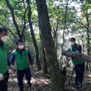 국사봉 등산로 Daum카페