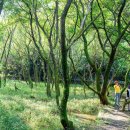 운곡생태습지길 3코스 이미지