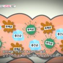 조은가정의학과