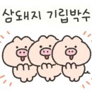 노형로또마트