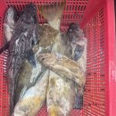 씨엔텔 민박 이미지