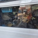 독도참가자미 이미지