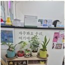 수정뷰티 - 속초시 동해대로 4307-1 | 수정뷰티