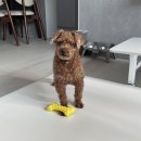 광장로 116 ~ 광장로 132-1 | 2월 끝자락 3월 시작🌷