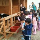 원아목장 이미지