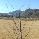 신림조경 이미지