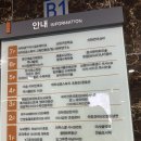 리프패럿광진구