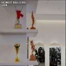 비다펠리즈 이미지