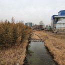 안골4교 이미지