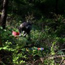 응봉산농장 이미지