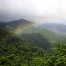 알프스장 이미지