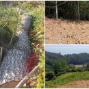 파인태양광발전소 이미지