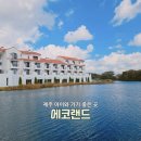 달리는족족 | 제주 아이와 곶자왈을 달리는 기차여행 에코랜드테마파크