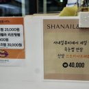 샤네일뷰티