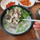 진향진미 이미지