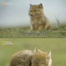 별미손칼국수 - 강동구 풍성로 160 | 별미손칼국수