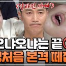 최근편 금쪽이 봤는데 이정도면 심한편이지?누나 3명에 막둥이집 남자애 편 이미지