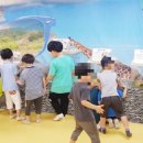 해솔 초등학교 병설유치원 이미지