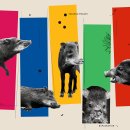 CW-2003-01 이미지