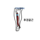 승산한의원 이미지