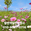 일로공인번역·일반 행정사사무소 | 보험공단 제출용 방글라데시 결혼증명서 번역, 번역확인증명서 발급 사례(인천 외국어번역행정사/행정사)
