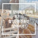 큰고개목장 | 가평 양떼목장 카페 찐 후기!(Ft. 할인, 애견동반, 숙소)