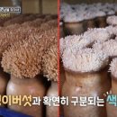 주식회사마이더스종합관리 이미지
