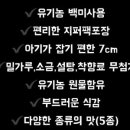 백미사 이미지