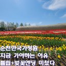 스마트 | 순천만국가정원 튤립 벚꽃 후기｜스마트큐브 타고 순천문학관 둘러보기