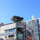 정자온더데스크독서실