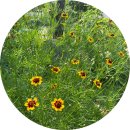 다송헌 | [함평] 감성 숙소 추천, 전통과 힐링의 만남 다송헌 한옥펜션