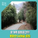 봉황산나래숲 이미지