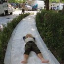 (주)이오바이오 이미지