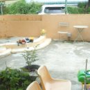 디어터틀(dear turtle) 이미지