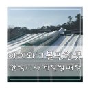 사계절썰매장 | 경기도 가성비눈썰매장추천 안성시사계절썰매장 후기
