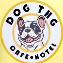 독특하개 이미지