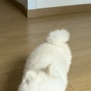 참조은가정의학과의원 | 강남역 근처 2년차 직장인의 정착한 곳들