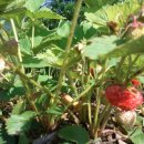 아라리모텔 이미지