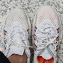 오렌지블루 이미지