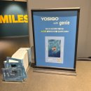 나들이 일식 이미지