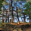 갑장사등산로 이미지