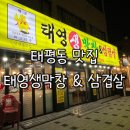 대전 태평동 맛집 태영생막창앤삼겹살태평점 내 돈 내산 맛집