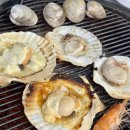 마당 | 부산 민락동 광안리 조개구이 맛집 미소집조개마당 후기